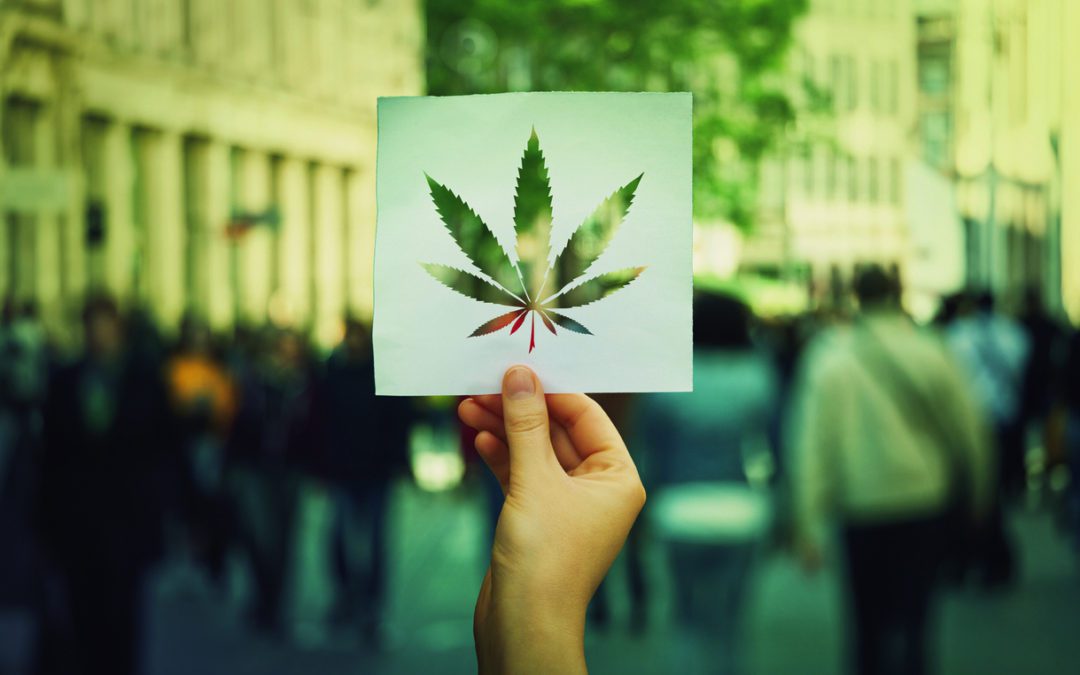 Up in Smoke: Insuring Cannabis-Related Businesses