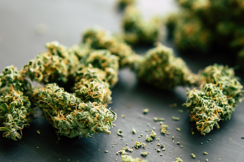 jencap-cannabis